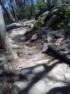 Thredbo DH 6